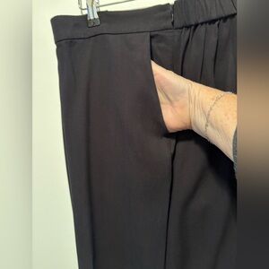 Eileen Fisher Black Dress Pants Elastic Back Side Zipper Comfort Quite Luxury